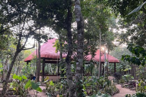 1586ea04-6f04-450e-ac39-49216ab9d9fe