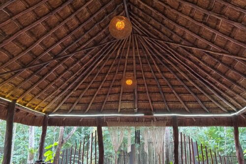 2274ffee-8fff-48cc-9653-c39ff845b774