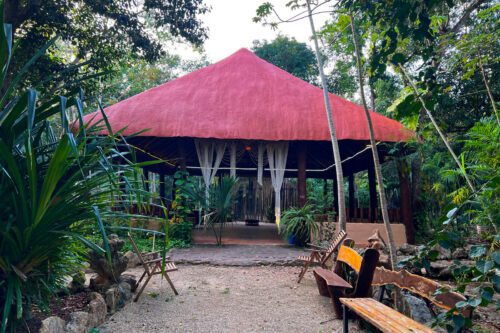 a04d7281-b792-4c44-af5d-53ea32d50ddd