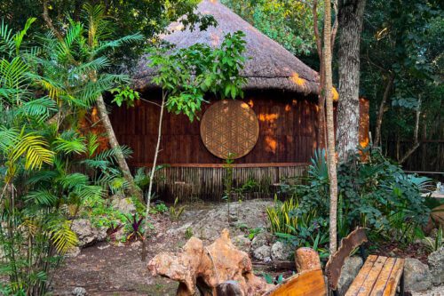 c4f76b87-faa5-4b3f-b5a1-bf5d806b9d8c