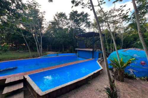 db4340d9-ae21-4502-b5bc-f265501d142b